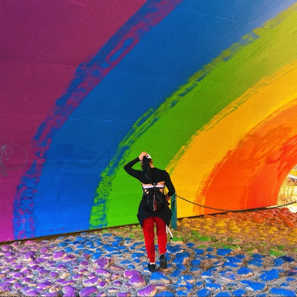 Meet your Posher, Remy - Picture 1 of 1